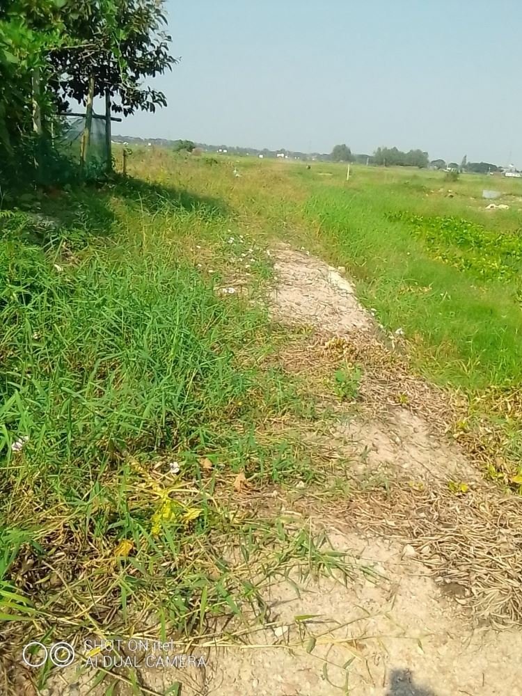 দক্ষিণমুখী মোহাম্মাদ পুরের কাছে @ 8 কাঠা প্লট বিক্রয়