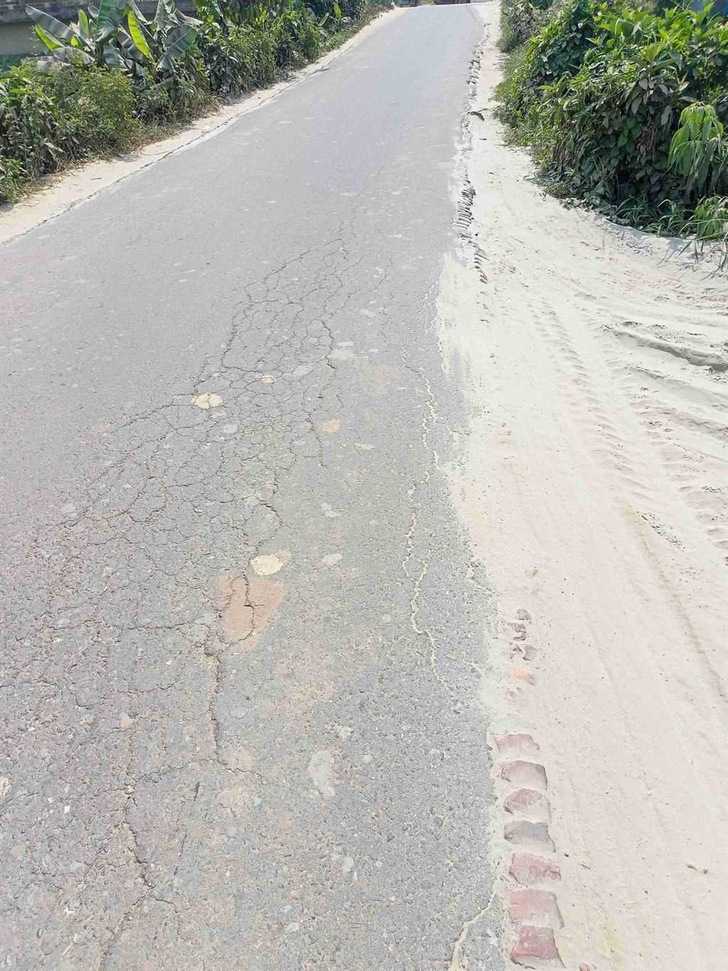 স্বল্প মূলে 51 শতাংশ রেডি প্লট বিক্রি করা হবে