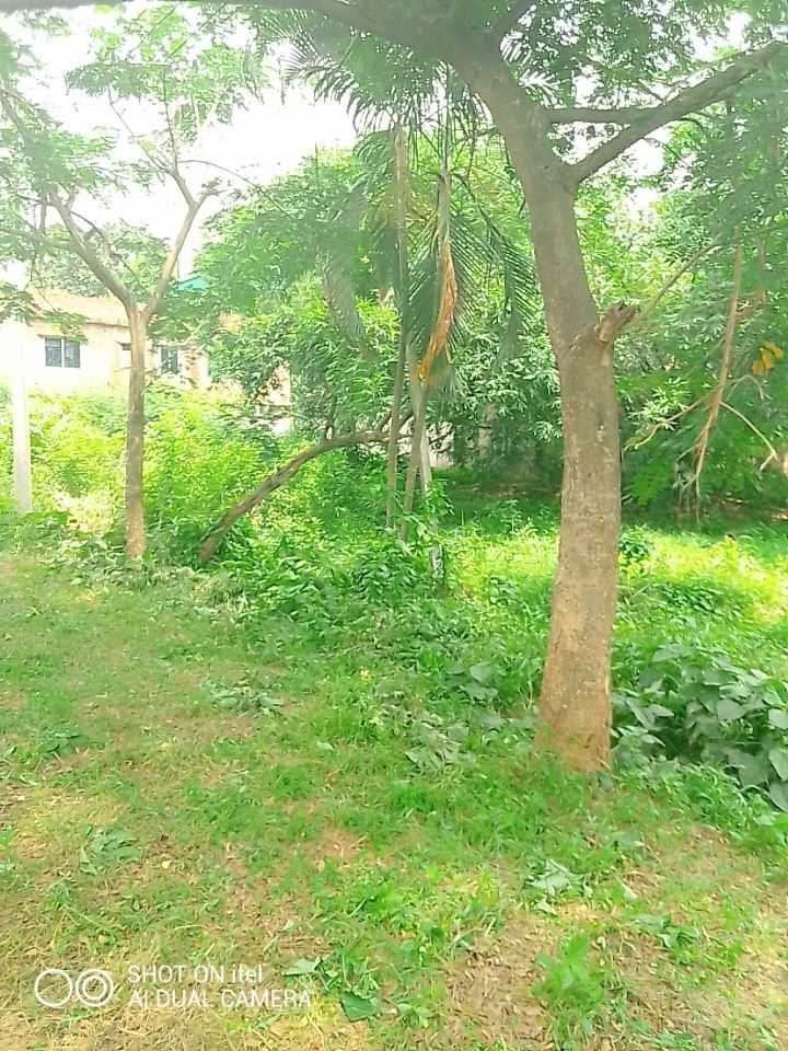 1250 SFT FLAT SHARE 3 BED BATH @ NAVANA GARDENIA SAVER