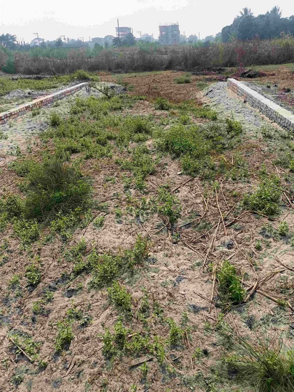 রেডি প্লটে লাভজনক বিনিয়োগ @ 8 কাঠা মিলেনিয়াম সিটি