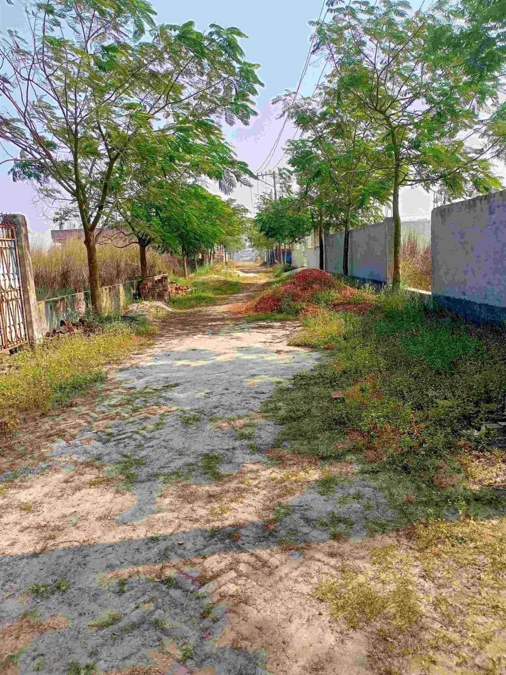 মিলেনিয়াম সিটি রেডি প্লটে লাভজনক বিনিয়োগ @ 6 কাঠা