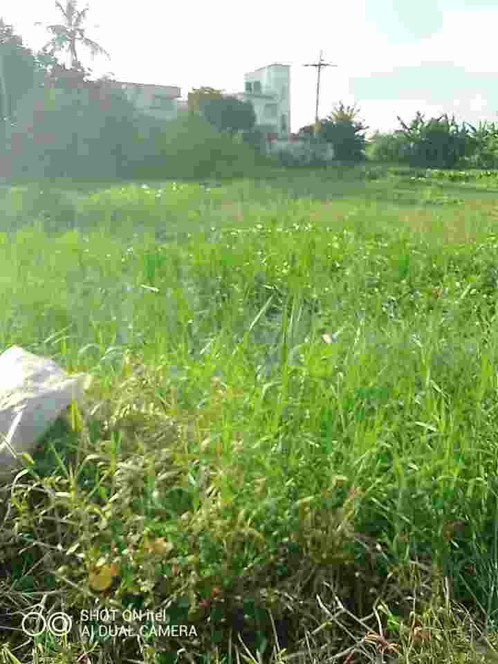 চাকুরিজীবীদের জন্য 6 কাঠা প্লট বিক্রয় আটি