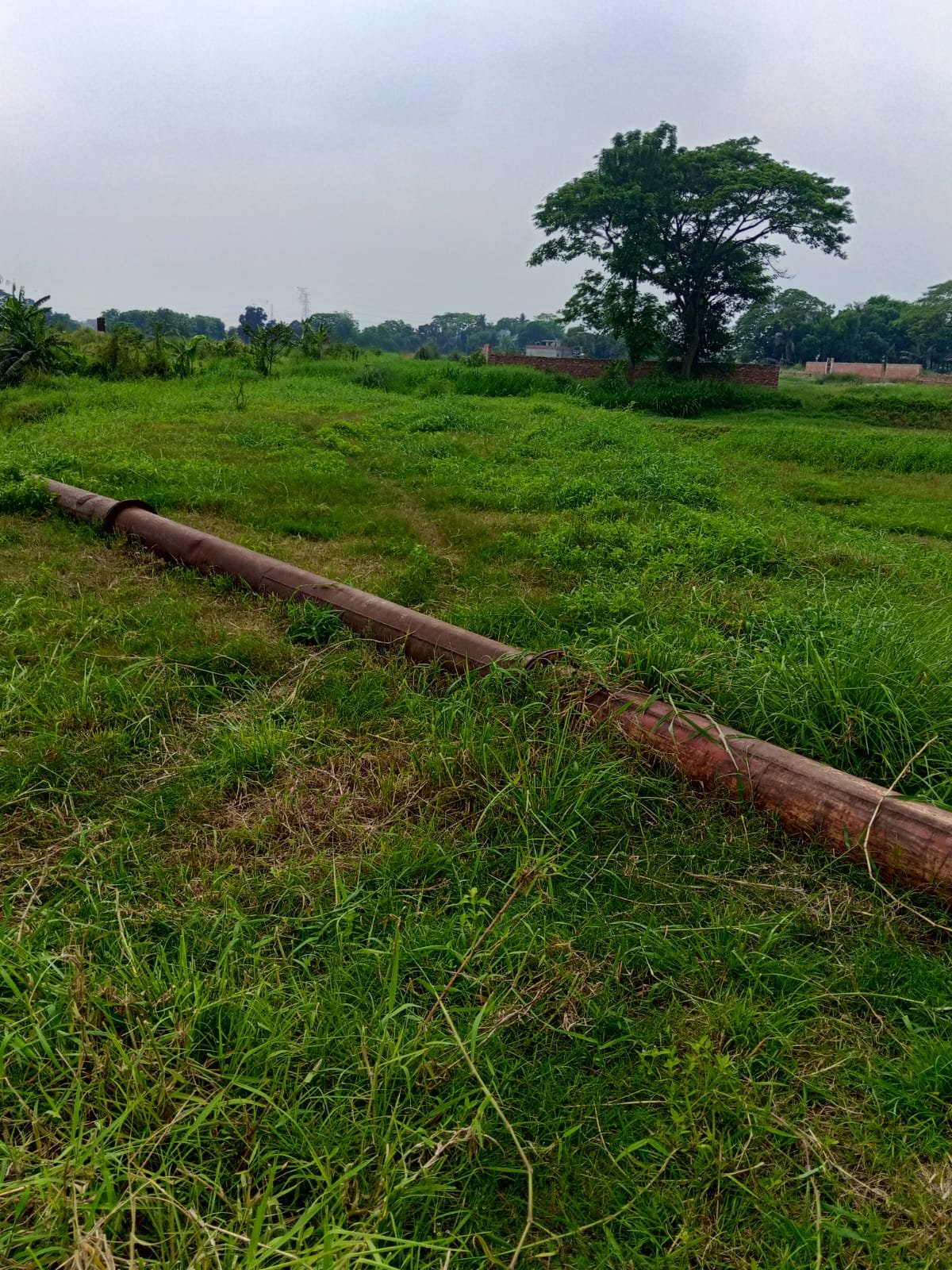 উত্তর ও দক্ষিণ মুখি @ বাড়ি করার উপযোগী রেডি প্লট বিক্রি ১৬.৩৭ কাঠা