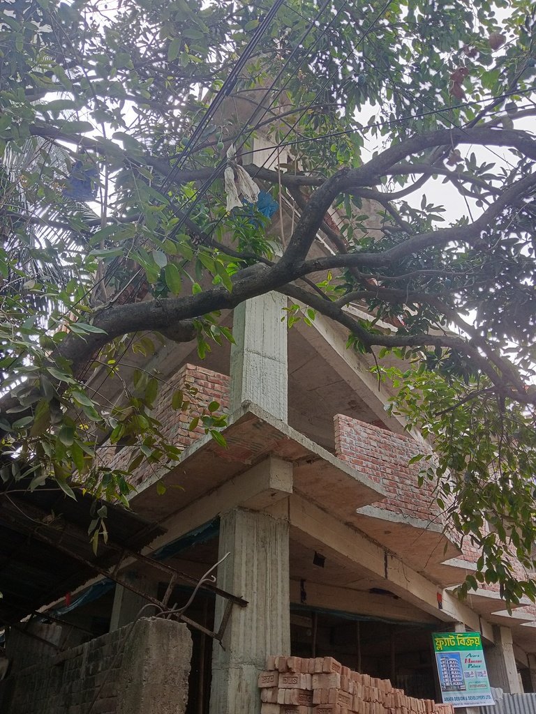 দক্ষিণ পশ্চিম @ কর্নার প্লটে 1295 বর্গফুট ফ্ল্যাট বিক্রি